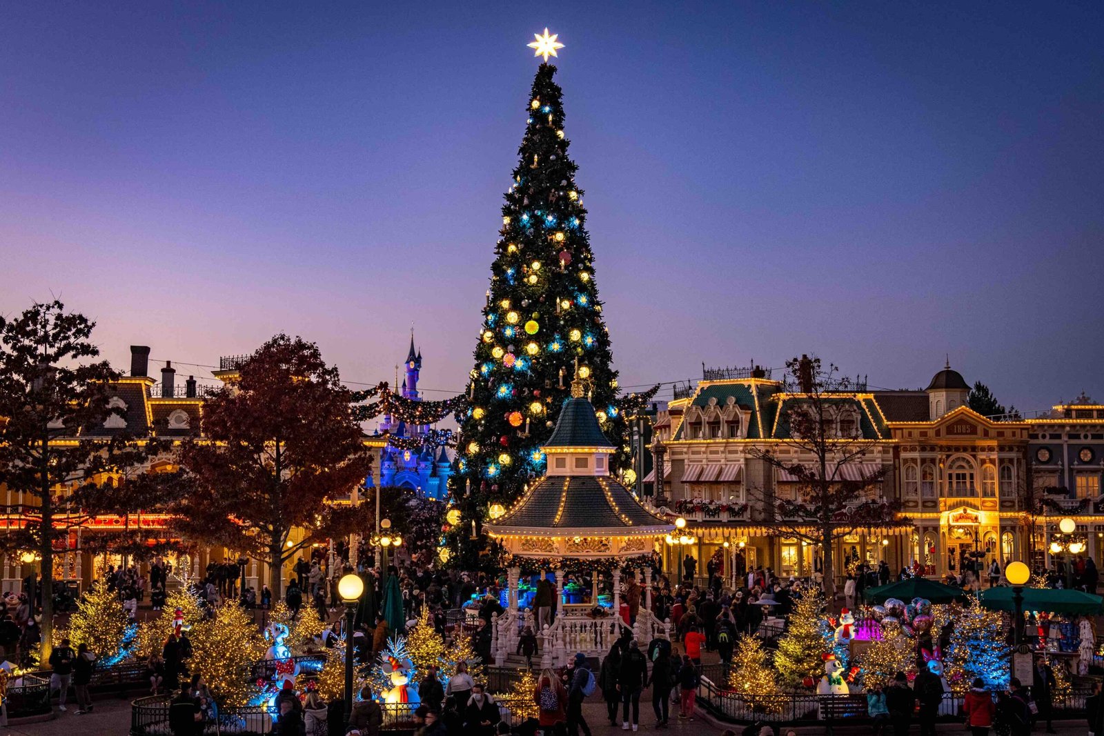 Town Square Christmas tree at night in Disneyland Paris